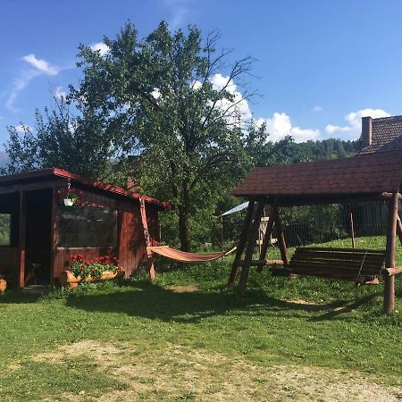 Casa Oana Ioana Vendégház Alsómoécs Kültér fotó