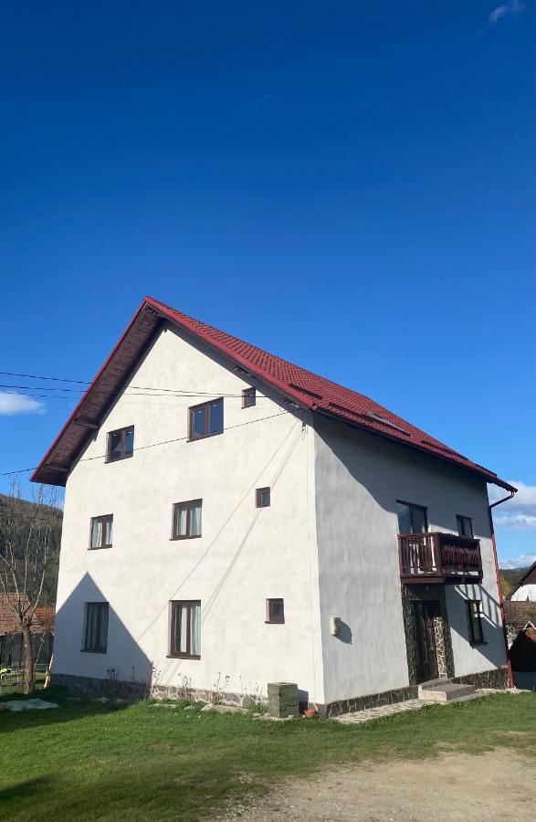 Casa Oana Ioana Vendégház Alsómoécs Kültér fotó