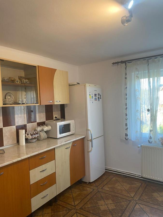 Casa Oana Ioana Vendégház Alsómoécs Kültér fotó