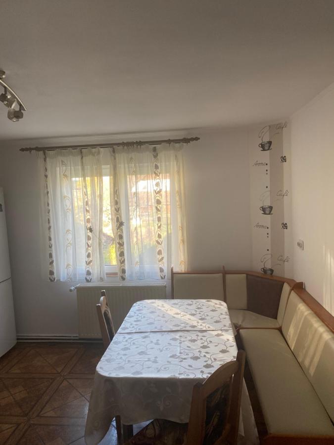 Casa Oana Ioana Vendégház Alsómoécs Kültér fotó