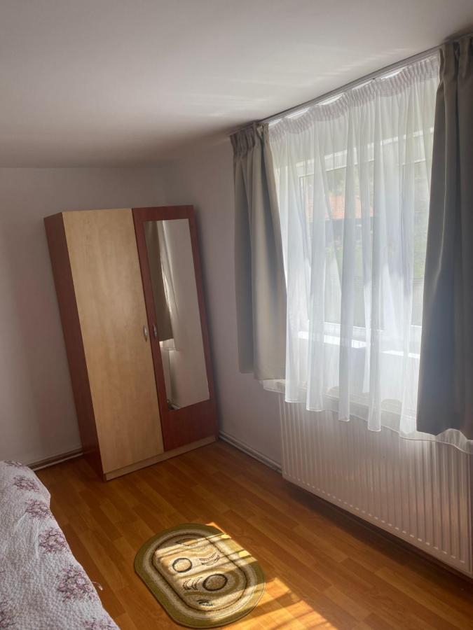 Casa Oana Ioana Vendégház Alsómoécs Kültér fotó