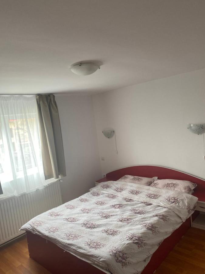 Casa Oana Ioana Vendégház Alsómoécs Kültér fotó