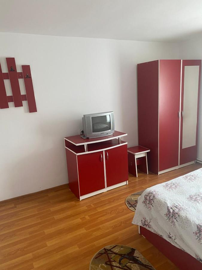 Casa Oana Ioana Vendégház Alsómoécs Kültér fotó