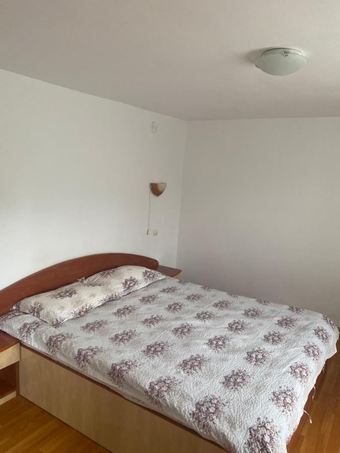 Casa Oana Ioana Vendégház Alsómoécs Kültér fotó