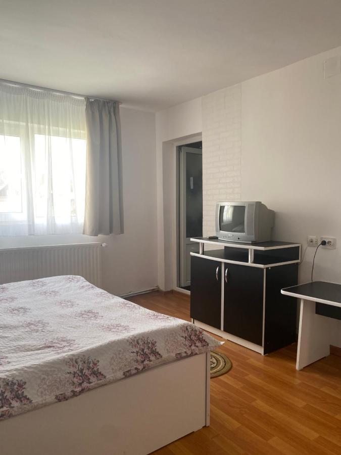 Casa Oana Ioana Vendégház Alsómoécs Kültér fotó