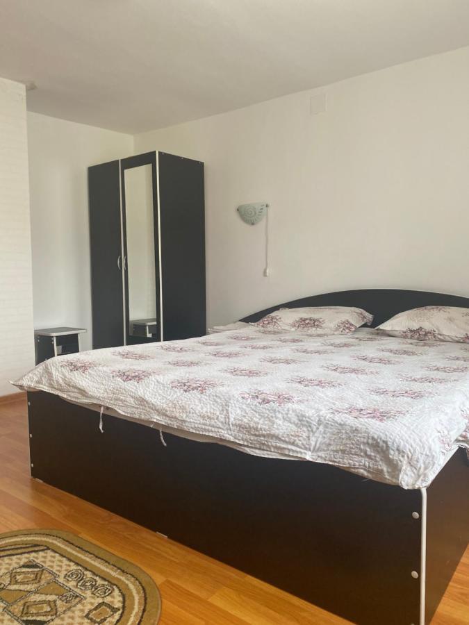 Casa Oana Ioana Vendégház Alsómoécs Kültér fotó
