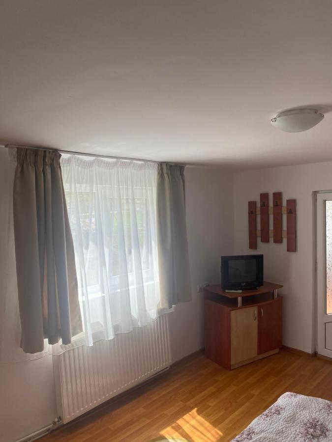 Casa Oana Ioana Vendégház Alsómoécs Kültér fotó