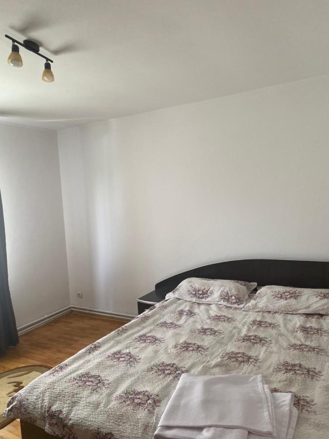 Casa Oana Ioana Vendégház Alsómoécs Kültér fotó