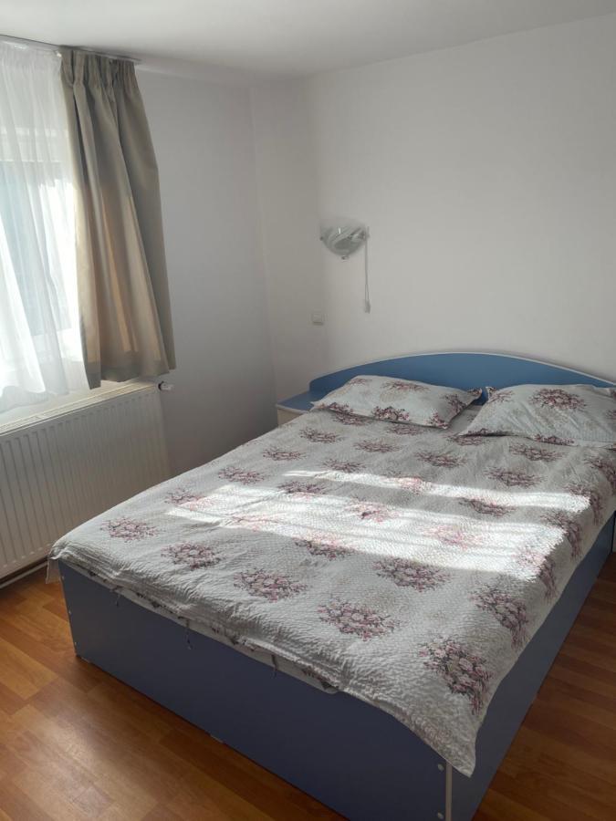 Casa Oana Ioana Vendégház Alsómoécs Kültér fotó