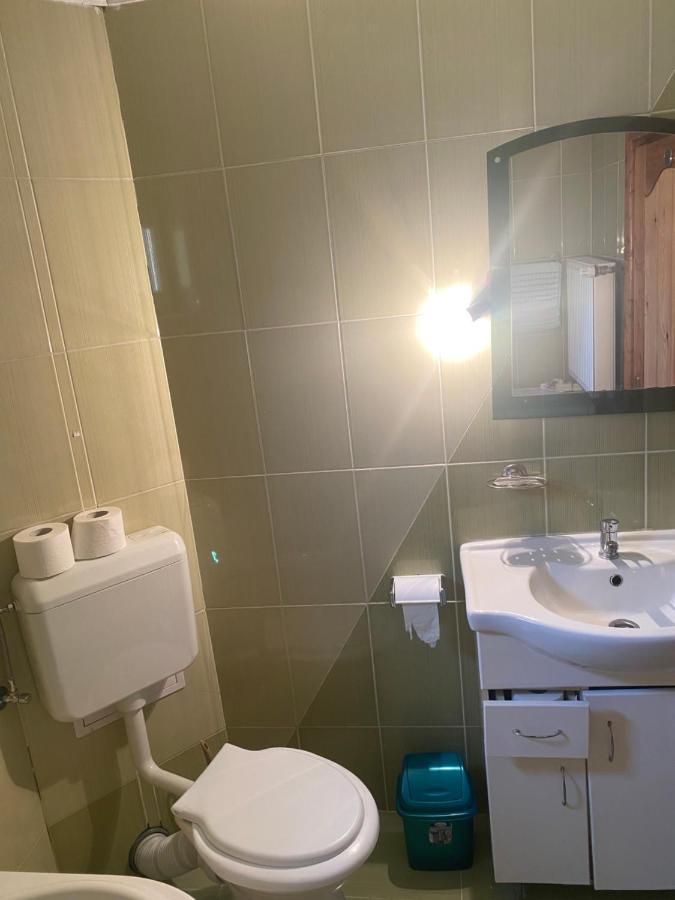 Casa Oana Ioana Vendégház Alsómoécs Kültér fotó