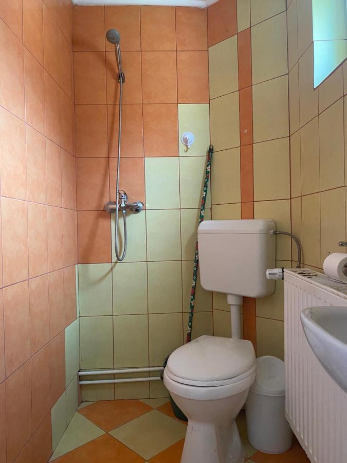 Casa Oana Ioana Vendégház Alsómoécs Kültér fotó