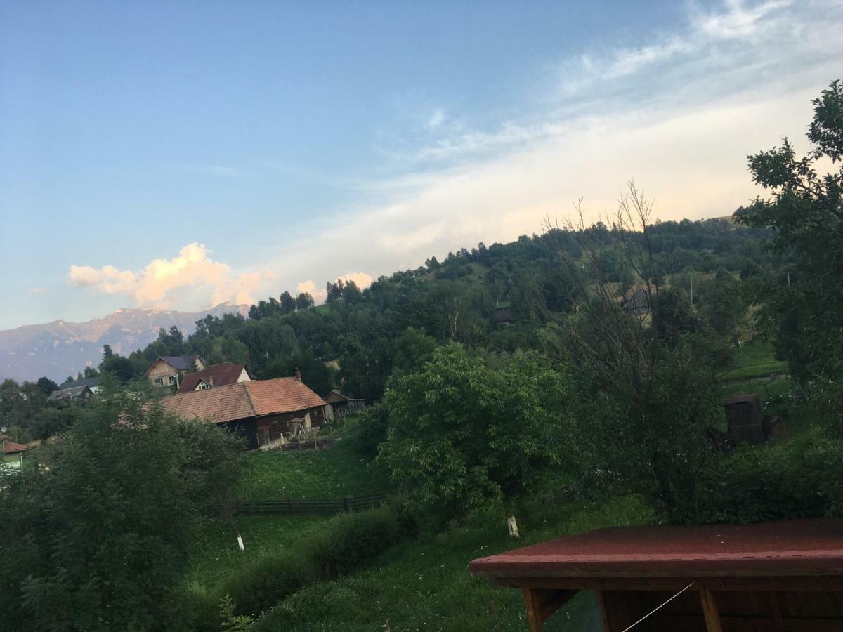Casa Oana Ioana Vendégház Alsómoécs Kültér fotó