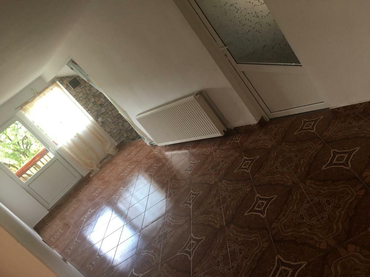 Casa Oana Ioana Vendégház Alsómoécs Kültér fotó