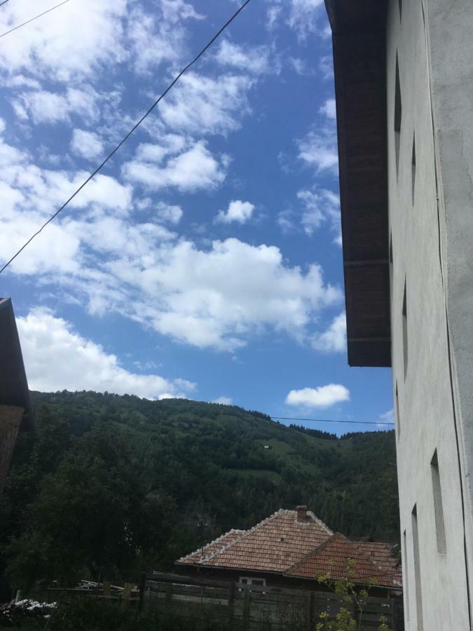 Casa Oana Ioana Vendégház Alsómoécs Kültér fotó