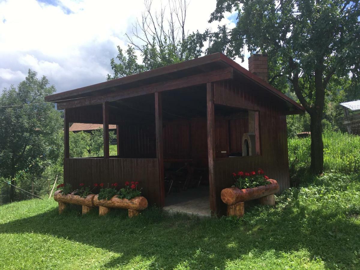 Casa Oana Ioana Vendégház Alsómoécs Kültér fotó