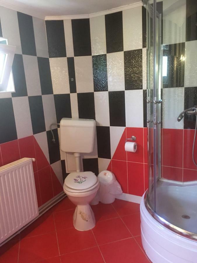 Casa Oana Ioana Vendégház Alsómoécs Kültér fotó