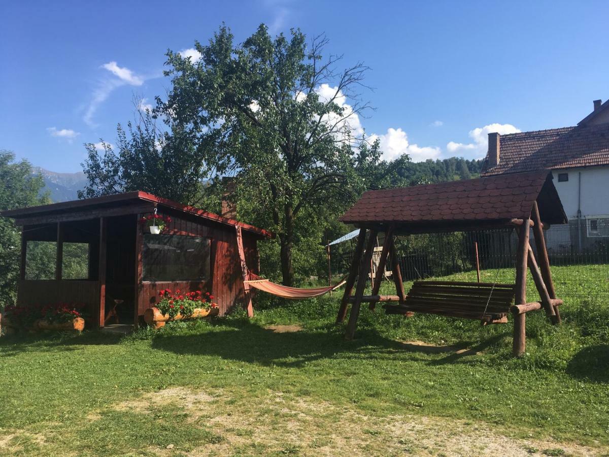 Casa Oana Ioana Vendégház Alsómoécs Kültér fotó